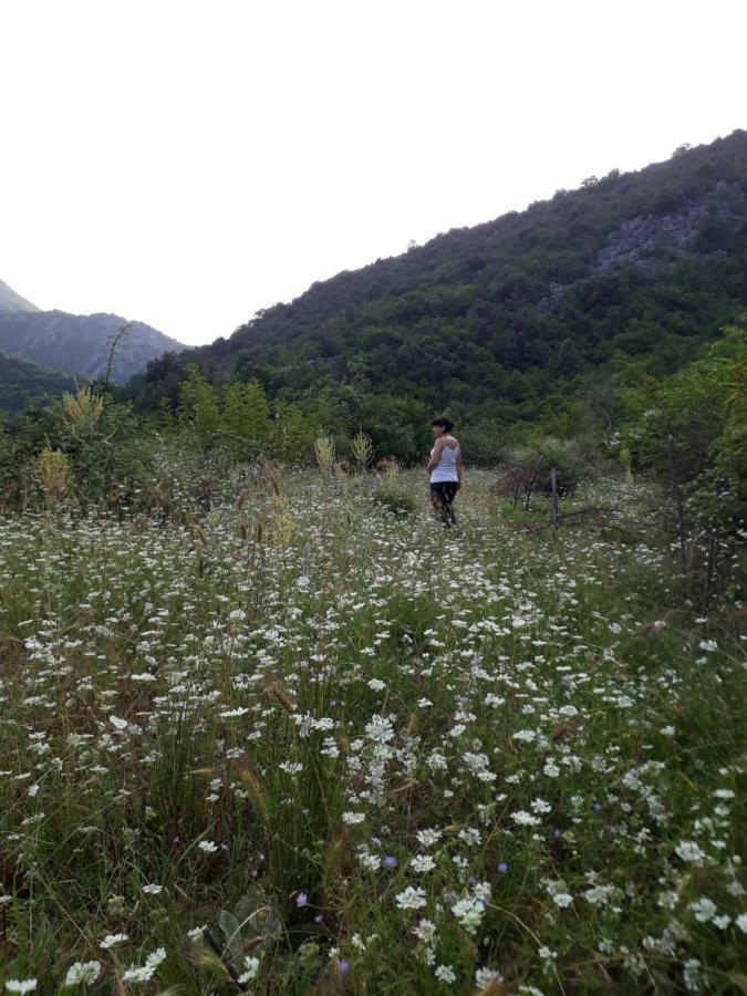 Camp Sunny Hills 호텔 비르파자르 외부 사진